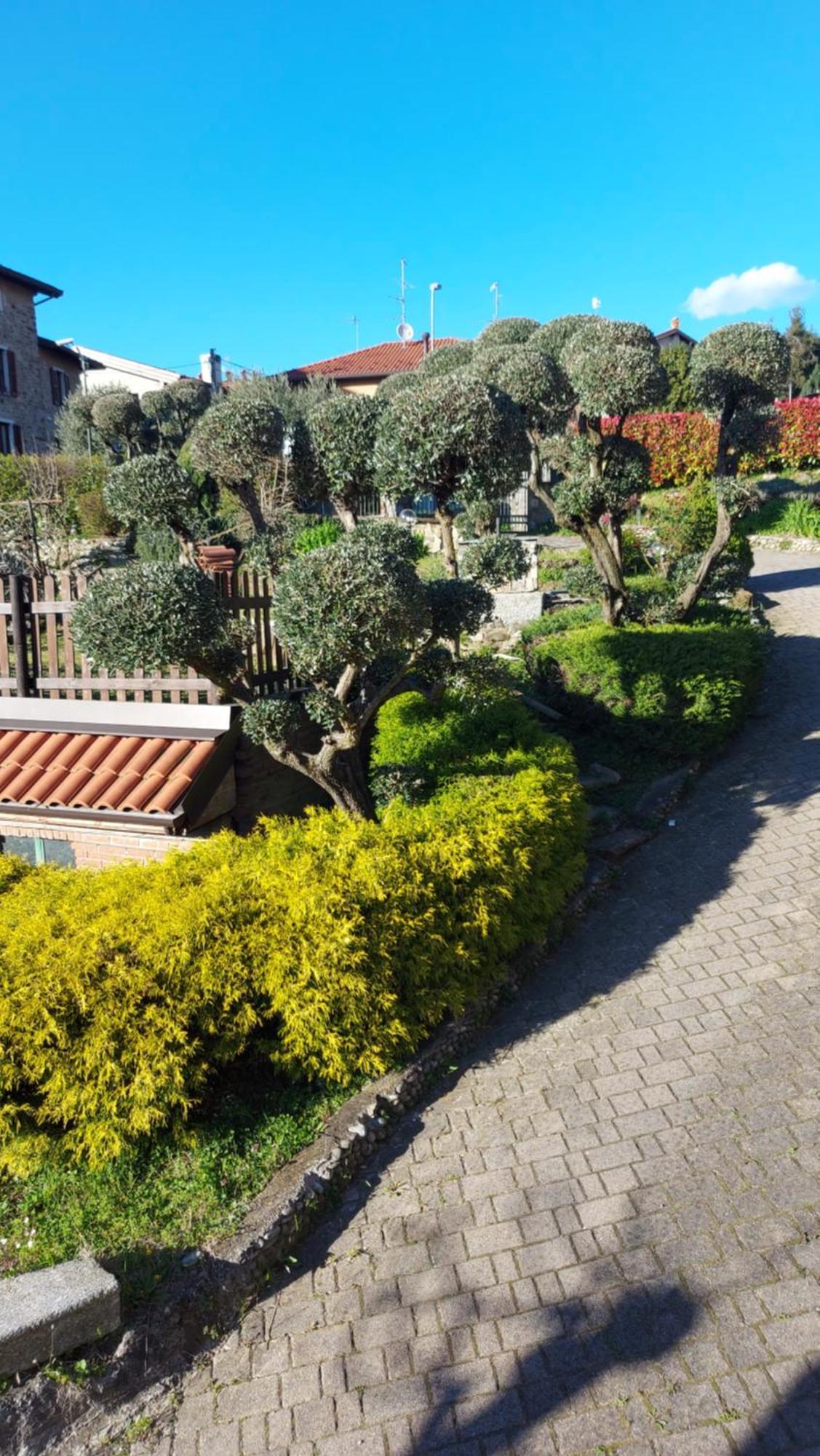 Al Vecchio Lavatoio Hotell Colle Brianza Exteriör bild
